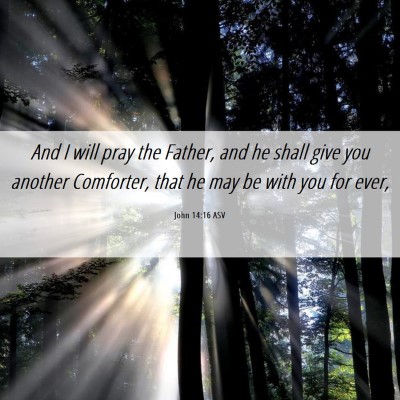 Picture 06 - John 14:16 ASV - And I will pray the Father, and he shall give you - Bible Verse Picture