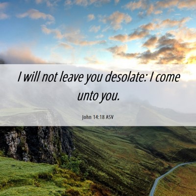 Picture 06 - John 14:18 ASV - I will not leave you desolate: I come unto - Bible Verse Picture