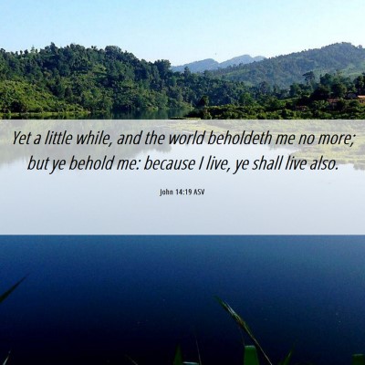 Picture 06 - John 14:19 ASV - Yet a little while, and the world beholdeth me no - Bible Verse Picture