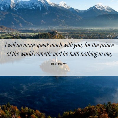 Picture 06 - John 14:30 ASV - I will no more speak much with you, for the - Bible Verse Picture