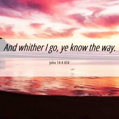 Picture 06 - John 14:4 ASV - And whither I go, ye know the - Bible Verse Picture