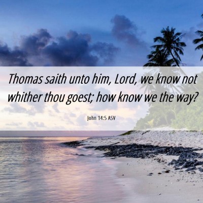 Picture 06 - John 14:5 ASV - Thomas saith unto him, Lord, we know not whither - Bible Verse Picture