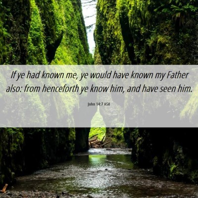 Picture 06 - John 14:7 ASV - If ye had known me, ye would have known my Father - Bible Verse Picture