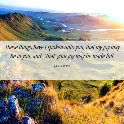 Picture 06 - John 15:11 ASV - These things have I spoken unto you, that my joy - Bible Verse Picture