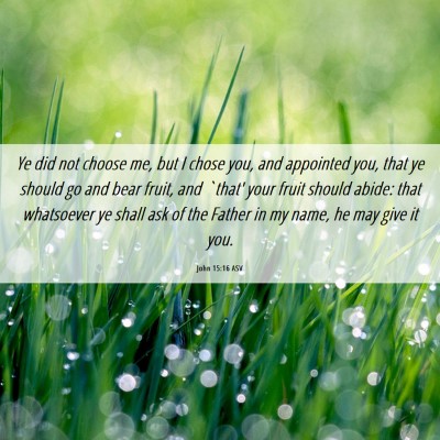 Picture 06 - John 15:16 ASV - Ye did not choose me, but I chose you, and - Bible Verse Picture