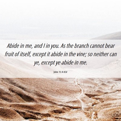 Picture 06 - John 15:4 ASV - Abide in me, and I in you. As the branch cannot - Bible Verse Picture