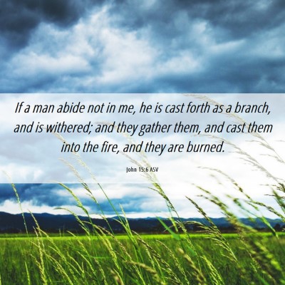 Picture 06 - John 15:6 ASV - If a man abide not in me, he is cast forth as a - Bible Verse Picture