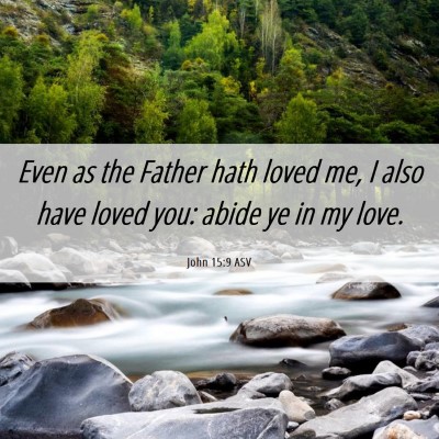 Picture 06 - John 15:9 ASV - Even as the Father hath loved me, I also have - Bible Verse Picture