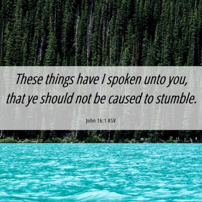 Picture 06 - John 16:1 ASV - These things have I spoken unto you, that ye - Bible Verse Picture