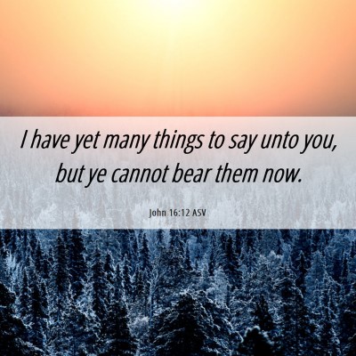 Picture 06 - John 16:12 ASV - I have yet many things to say unto you, but ye - Bible Verse Picture