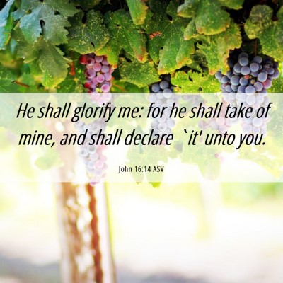 Picture 06 - John 16:14 ASV - He shall glorify me: for he shall take of mine, - Bible Verse Picture