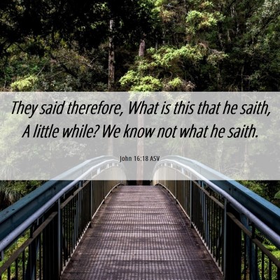 Picture 06 - John 16:18 ASV - They said therefore, What is this that he saith, - Bible Verse Picture