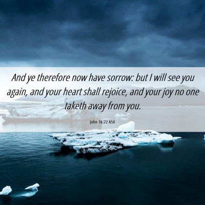 Picture 06 - John 16:22 ASV - And ye therefore now have sorrow: but I will see - Bible Verse Picture