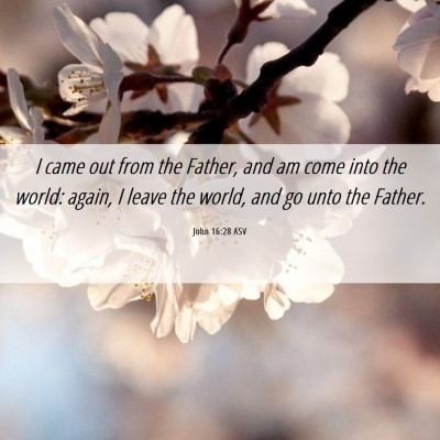 Picture 06 - John 16:28 ASV - I came out from the Father, and am come into the - Bible Verse Picture