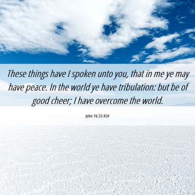Picture 06 - John 16:33 ASV - These things have I spoken unto you, that in me - Bible Verse Picture