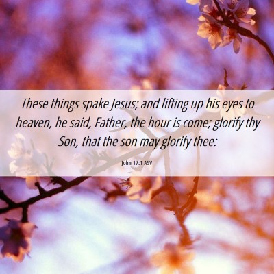 Picture 06 - John 17:1 ASV - These things spake Jesus; and lifting up his eyes - Bible Verse Picture