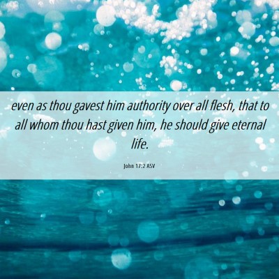 Picture 06 - John 17:2 ASV - even as thou gavest him authority over all flesh, - Bible Verse Picture