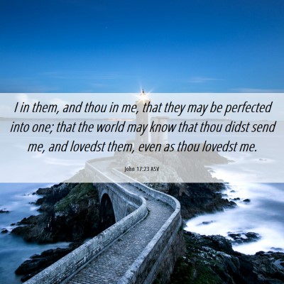 Picture 06 - John 17:23 ASV - I in them, and thou in me, that they may be - Bible Verse Picture