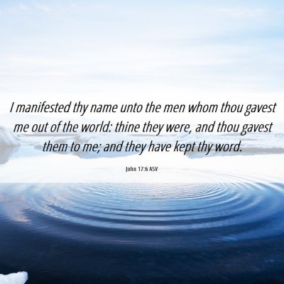 Picture 06 - John 17:6 ASV - I manifested thy name unto the men whom thou - Bible Verse Picture