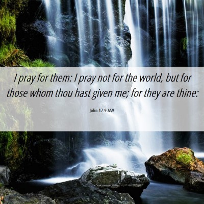 Picture 06 - John 17:9 ASV - I pray for them: I pray not for the world, but - Bible Verse Picture