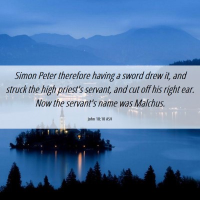 Picture 06 - John 18:10 ASV - Simon Peter therefore having a sword drew it, and - Bible Verse Picture