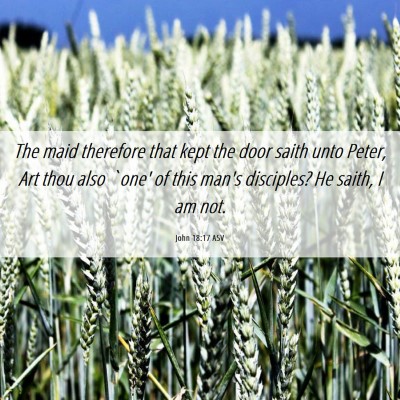 Picture 06 - John 18:17 ASV - The maid therefore that kept the door saith unto - Bible Verse Picture