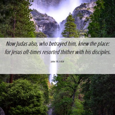 Picture 06 - John 18:2 ASV - Now Judas also, who betrayed him, knew the place: - Bible Verse Picture