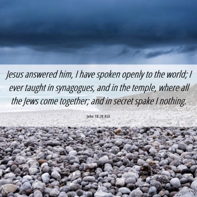 Picture 06 - John 18:20 ASV - Jesus answered him, I have spoken openly to the - Bible Verse Picture