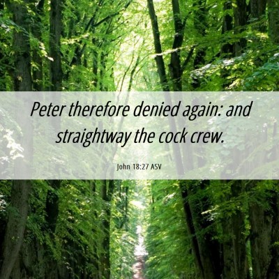 Picture 06 - John 18:27 ASV - Peter therefore denied again: and straightway the - Bible Verse Picture