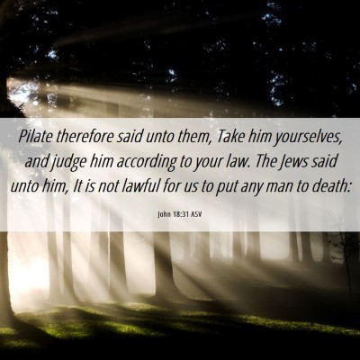 Picture 06 - John 18:31 ASV - Pilate therefore said unto them, Take him - Bible Verse Picture