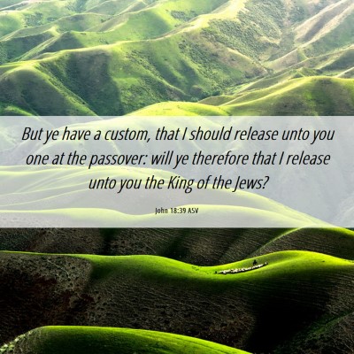 Picture 06 - John 18:39 ASV - But ye have a custom, that I should release unto - Bible Verse Picture