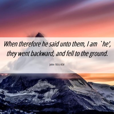 Picture 06 - John 18:6 ASV - When therefore he said unto them, I am `he', they - Bible Verse Picture