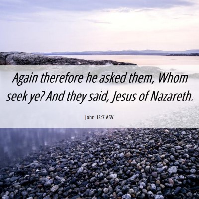 Picture 06 - John 18:7 ASV - Again therefore he asked them, Whom seek ye? And - Bible Verse Picture