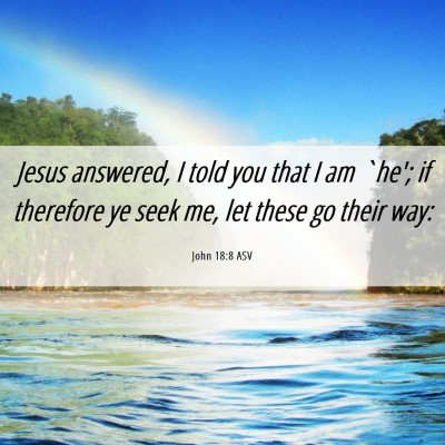 Picture 06 - John 18:8 ASV - Jesus answered, I told you that I am `he'; if - Bible Verse Picture