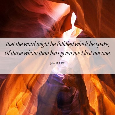 Picture 06 - John 18:9 ASV - that the word might be fulfilled which he spake, - Bible Verse Picture