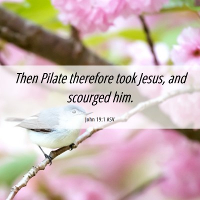 Picture 06 - John 19:1 ASV - Then Pilate therefore took Jesus, and scourged - Bible Verse Picture