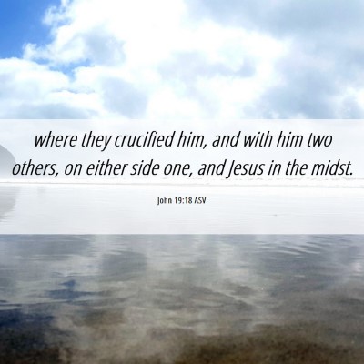 Picture 06 - John 19:18 ASV - where they crucified him, and with him two - Bible Verse Picture