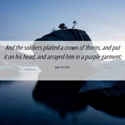 Picture 06 - John 19:2 ASV - And the soldiers platted a crown of thorns, and - Bible Verse Picture