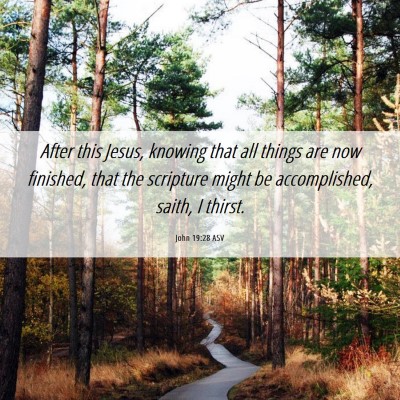 Picture 06 - John 19:28 ASV - After this Jesus, knowing that all things are now - Bible Verse Picture