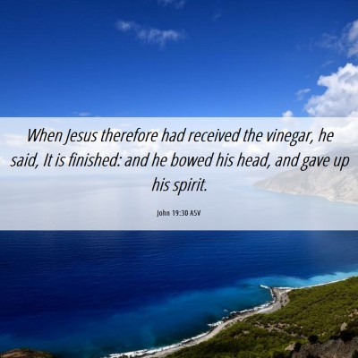 Picture 06 - John 19:30 ASV - When Jesus therefore had received the vinegar, he - Bible Verse Picture