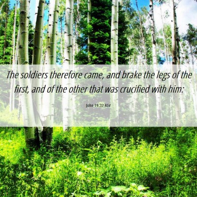 Picture 06 - John 19:32 ASV - The soldiers therefore came, and brake the legs - Bible Verse Picture