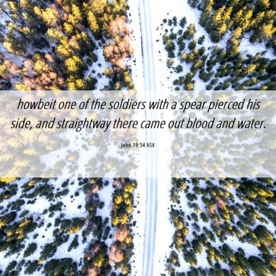 Picture 06 - John 19:34 ASV - howbeit one of the soldiers with a spear pierced - Bible Verse Picture