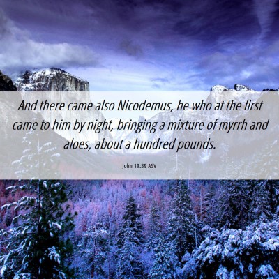 Picture 06 - John 19:39 ASV - And there came also Nicodemus, he who at the - Bible Verse Picture