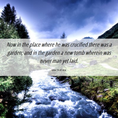 Picture 06 - John 19:41 ASV - Now in the place where he was crucified there was - Bible Verse Picture
