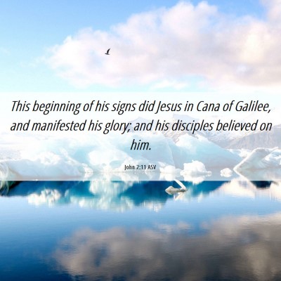 Picture 06 - John 2:11 ASV - This beginning of his signs did Jesus in Cana of - Bible Verse Picture