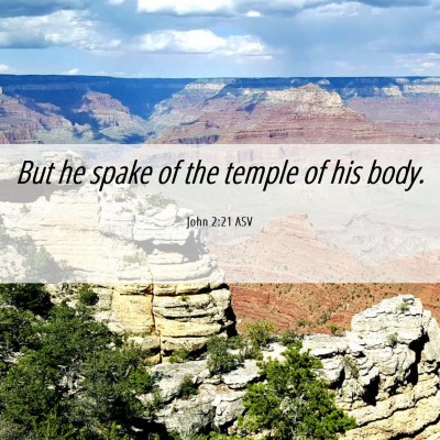 Picture 06 - John 2:21 ASV - But he spake of the temple of his - Bible Verse Picture