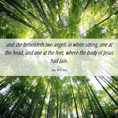 Picture 06 - John 20:12 ASV - and she beholdeth two angels in white sitting, - Bible Verse Picture