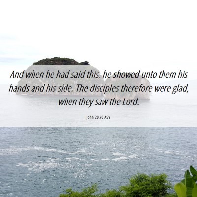 Picture 06 - John 20:20 ASV - And when he had said this, he showed unto them - Bible Verse Picture