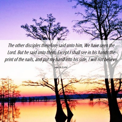 Picture 06 - John 20:25 ASV - The other disciples therefore said unto him, We - Bible Verse Picture
