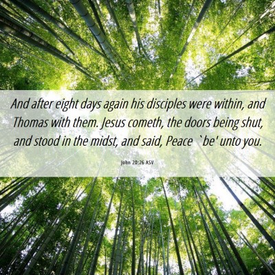 Picture 06 - John 20:26 ASV - And after eight days again his disciples were - Bible Verse Picture